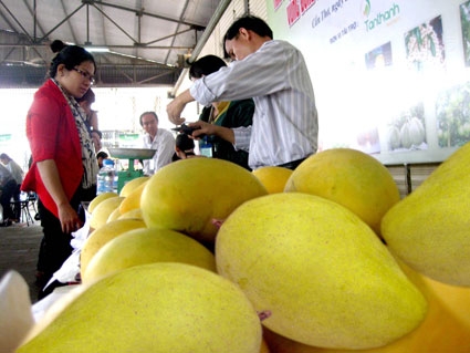 Sản xuất nông nghiệp theo chuỗi