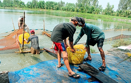 Cần tháo gỡ bất cập từ thể chế