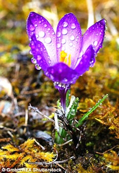 Những tiến bộ mới trong thử nghiệm điều trị ung thư