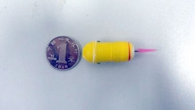 Tadpole Endoscope  đèn nội soi “nòng nọc”