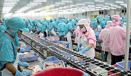 Thị trường tiềm năng