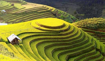 Cuối thu ở xứ “trôn ốc nhà trời”