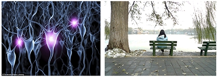 Giải mã cảm giác cô đơn và biện pháp vượt qua