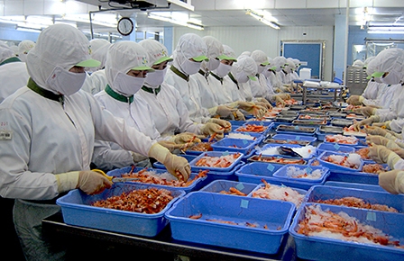 Củng cố nội lực 
để vững vàng hội nhập