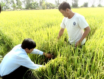 Củng cố nội lực để vững vàng hội nhập