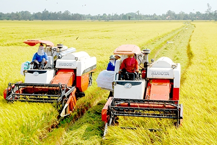 Củng cố nội lực 
để vững vàng hội nhập