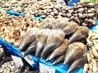 Thiết bị xét nghiệm nhanh độc tố trong động vật có vỏ