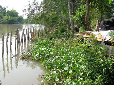 TĂNG CƯỜNG HỢP TÁC QUỐC TẾ 
ỨNG PHÓ BIẾN ĐỔI KHÍ HẬU