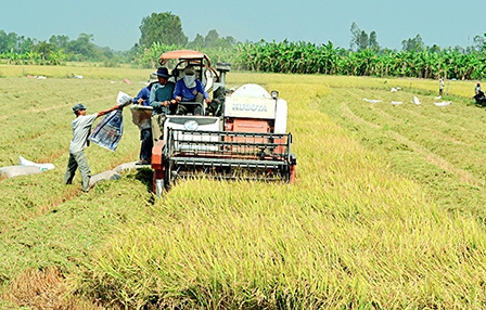 Gấp rút tái cơ cấu toàn diện