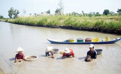 ចិញ្ចឹមគ្រែងឈាមក្រោមម្លប់ព្រៃបង្ការ