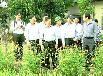 Ứng dụng nhiều hơn công nghệ sinh thái trong sản xuất lúa