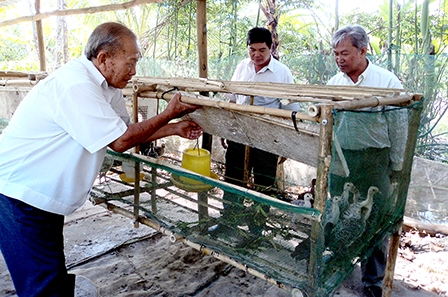Cần giải pháp đồng bộ đào tạo nghề cho nông dân
