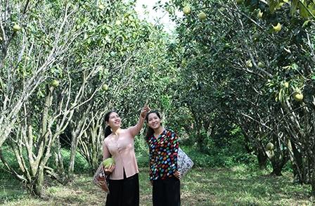 Cồn Sơn phát triển du lịch cộng đồng