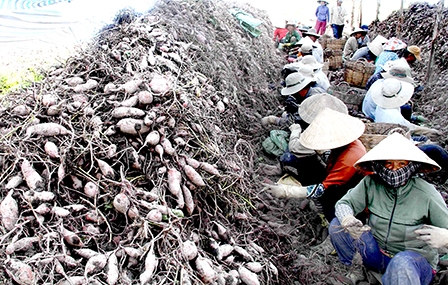 Nhiều món ăn đồng quê ĐBSCL vào tốp 50 món ăn 
nổi tiếng Việt Nam