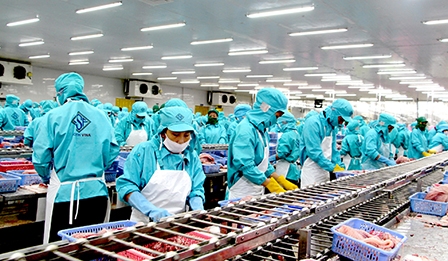 Thúc đẩy trách nhiệm xã hội trong ngành thủy sản