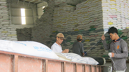 Nhìn xa, nghĩ lớn để vào
sân chơi hội nhập