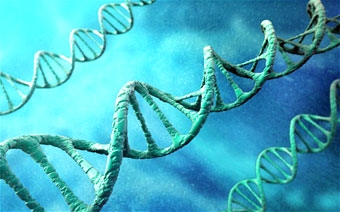 Kiểm soát gien có thể giúp tăng tuổi thọ