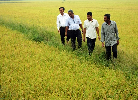 Thi đua “Dân vận khéo”