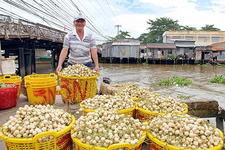 Kỳ vọng trở thành 
sản phẩm du lịch đặc thù