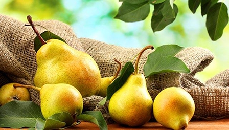 Ăn lê tốt cho sức khỏe đường ruột và phòng tránh nhiều căn bệnh