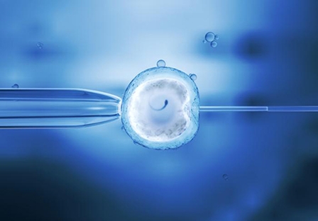 Xét nghiệm ADN mới tăng gấp đôi tỷ lệ IVF thành công
