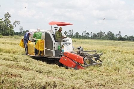 Thúc đẩy liên kết vùng 
từ công tác quy hoạch