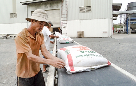 Dồn sức xây dựng 
thương hiệu gạo quốc gia