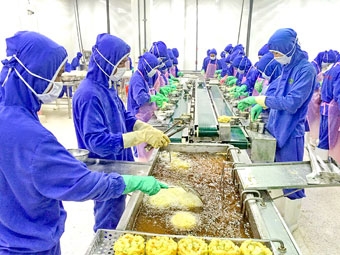 Hành trình đến với đặc sản Nhật Bản xuất khẩu