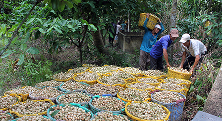 Doanh nghiệp đang cần trợ lực
