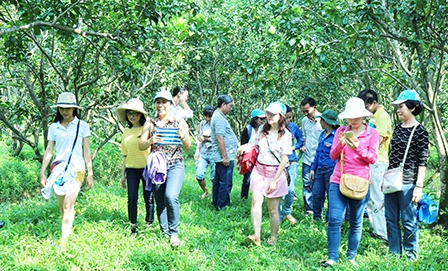 Du lịch đường sông 
gắn với di tích văn hóa- lịch sử