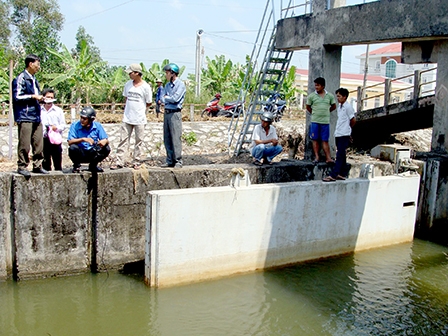 Gấp rút đối phó hạn, mặn