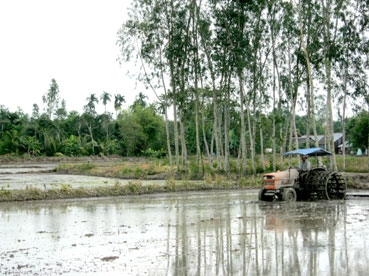 LÀM CHẮC, ĂN CHẮC