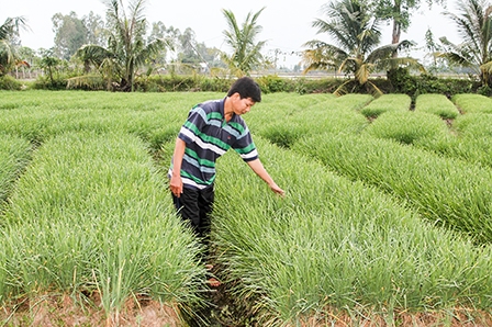 Tín hiệu vui cho nhà nông