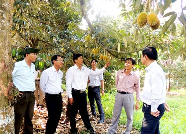 Tiếp nhận vai trò trung tâm kết nối vùng