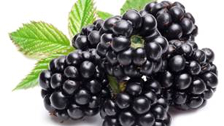 Những lý do chúng ta nên dùng 
quả mâm xôi đen