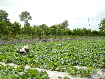 Liên kết cùng chủ động ứng phó