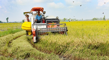 Phát huy thế mạnh nông nghiệp