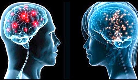 Não bộ nam giới lão hóa nhanh hơn phụ nữ