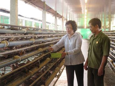 Nâng cao hiệu quả hoạt động