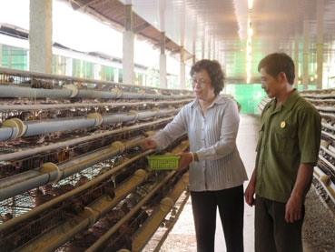 Nâng cao hiệu quả hoạt động