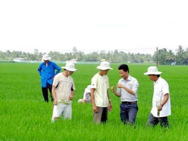 PHÁT TRIỂN CHUỖI GIÁ TRỊ NÔNG NGHIỆP BỀN VỮNG