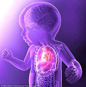 Thai phụ thừa cân
ảnh hưởng tới tim
thai nhi