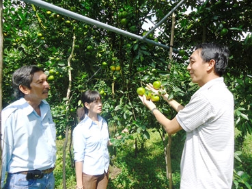 Sáng kiến độc đáo của anh Cao Phát Triển