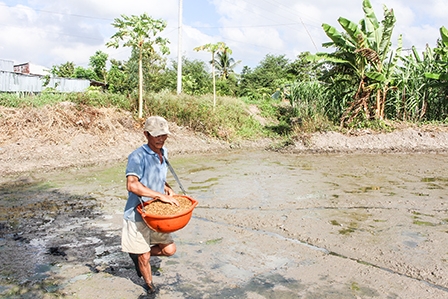 Tập trung chỉ đạo 
sản xuất lúa đông xuân