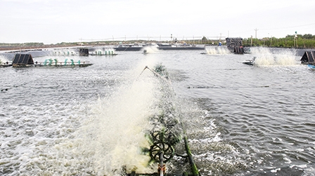 Vượt khó về đích thành công