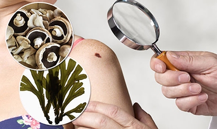 Đường trong rong biển và nấm 

có đặc tính chống ung thư da