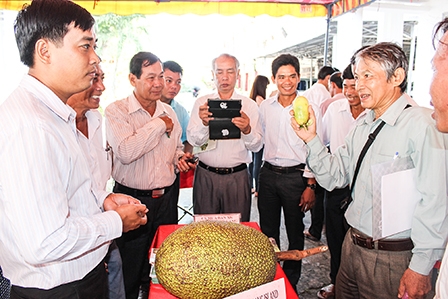 Đẩy mạnh tiêu thụ hàng hóa nông sản