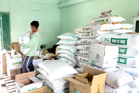 Nguồn cung dồi dào, giá giảm