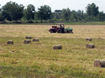 “Hành trình trên đất phù sa”