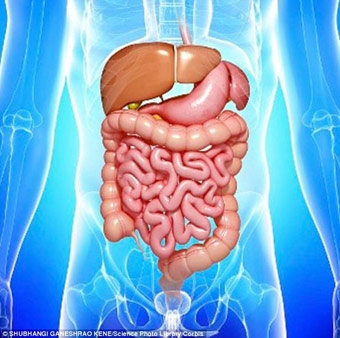 Trung hòa vi khuẩn đường ruột có thể ngăn ngừa đau tim và đột quị